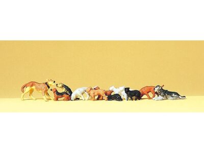 14165  Hunde og katte