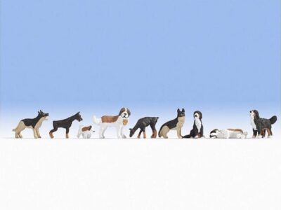 15717 Hunde