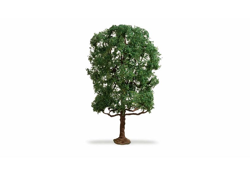 20105 Kastanjetræ, 19 cm højt